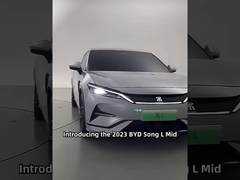 Voyage à droite Voiture de conduite BYD Dolphin Hatchback