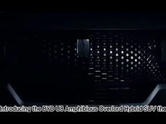 Voyage à droite Voiture de conduite BYD Dolphin Hatchback